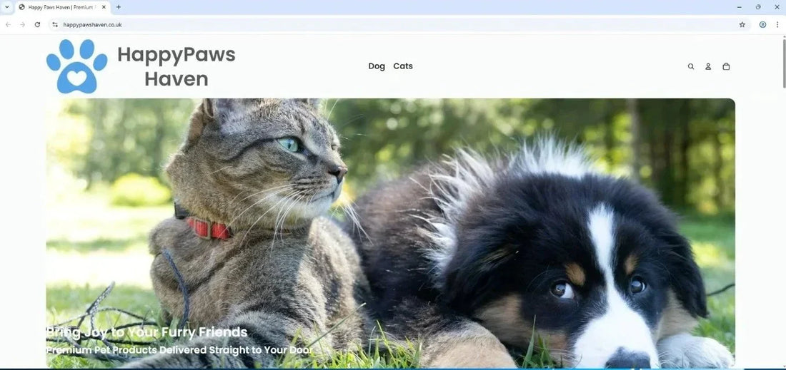 Case Study: HappyPaws Haven