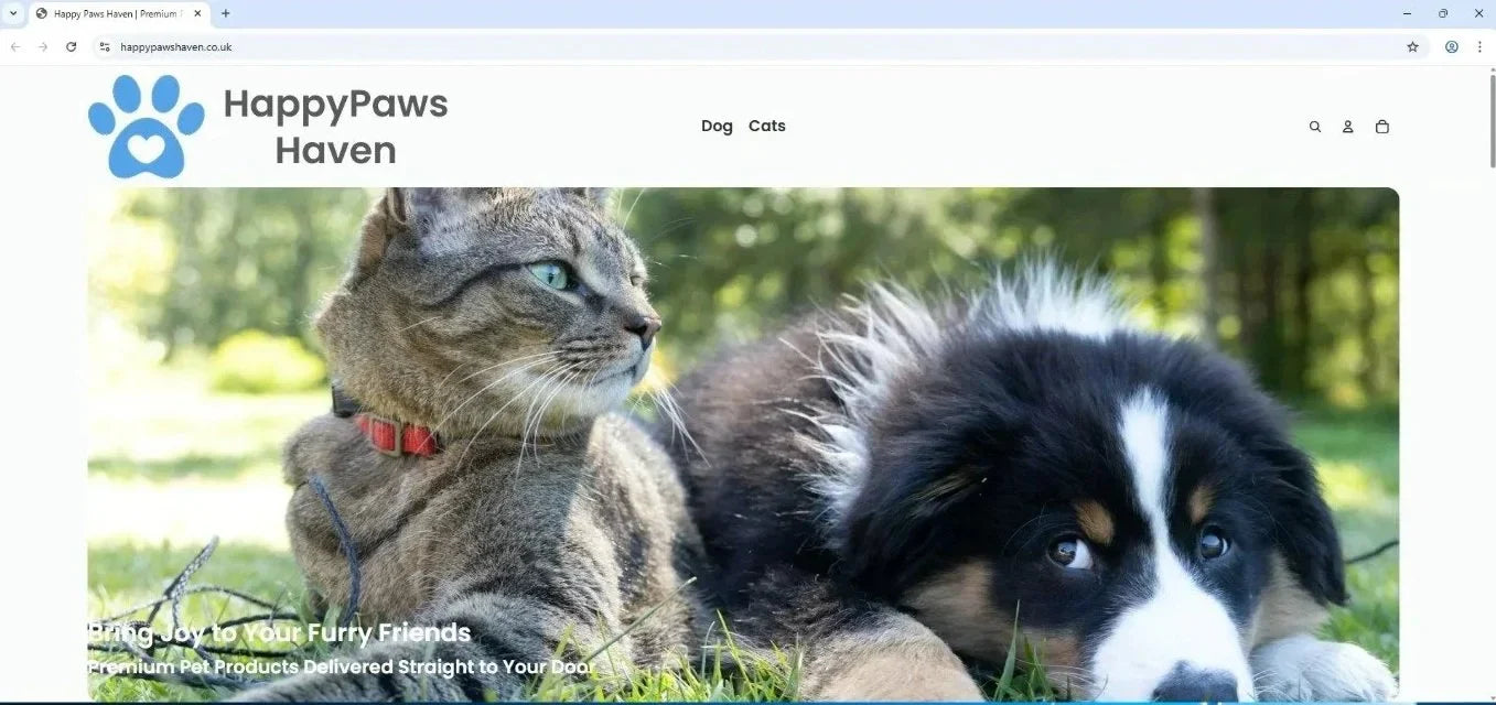Case Study: HappyPaws Haven