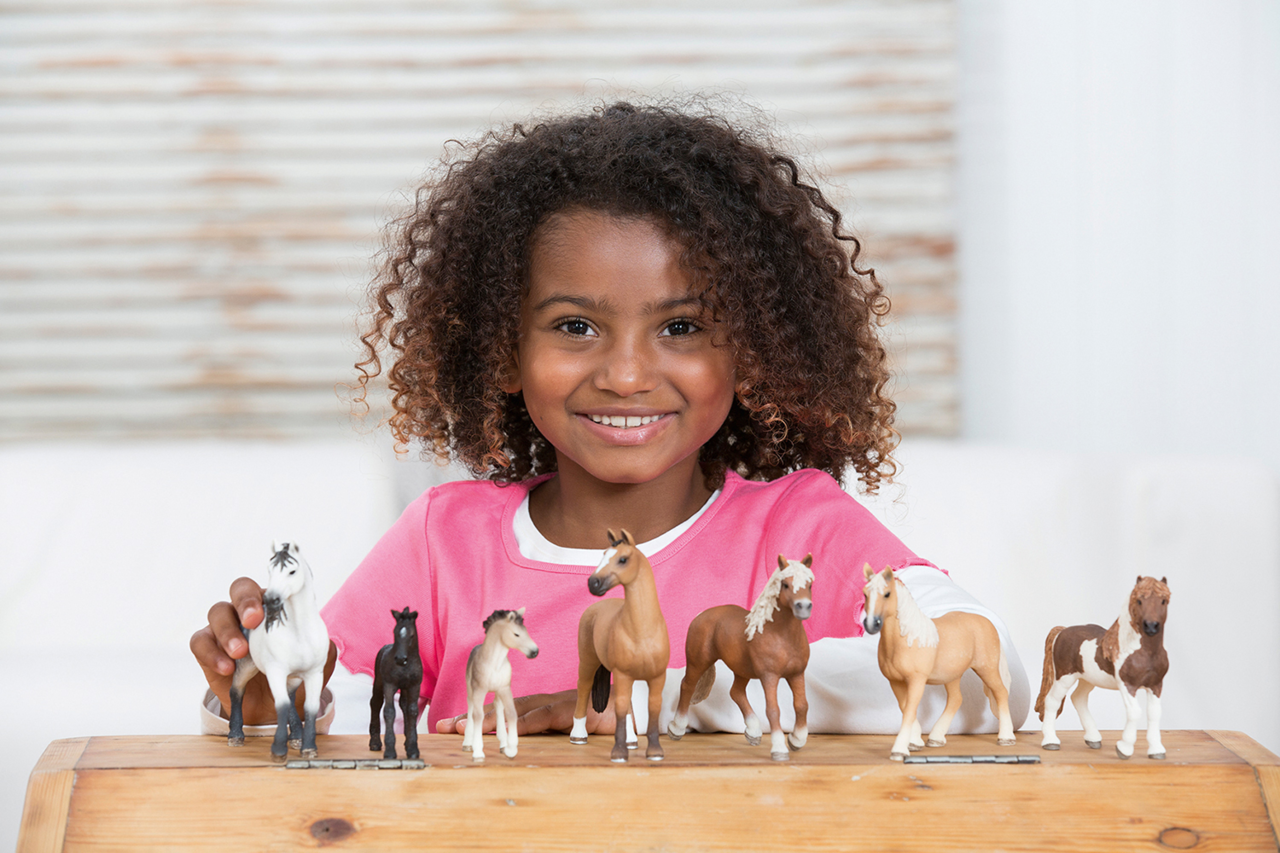Toys &amp; Learning ,eCommerce / SEO / CRO / Dual-Brand Strategy