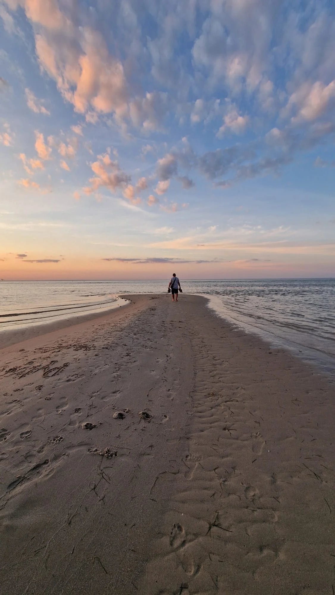 Pink Digital walking ahead